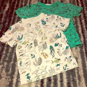 Bundle of 2 H&M boy shirts